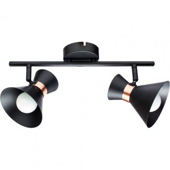 Спот ARTE LAMP BALTIMORE A1406AP-2BK Спот ARTE LAMP BALTIMORE A1406AP-2BK