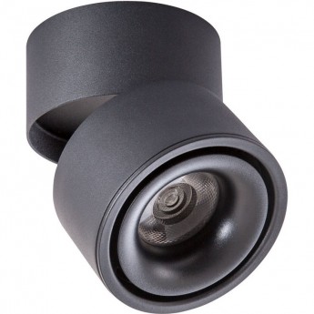 Светильник ARTE LAMP ARCTURUS A7715PL-1BK Светильник ARTE LAMP ARCTURUS A7715PL-1BK