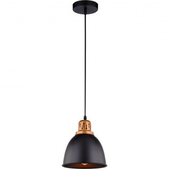 Светильник ARTE LAMP EURICA A4245SP-1BK Светильник ARTE LAMP EURICA A4245SP-1BK