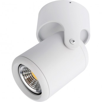 Светильник ARTE LAMP LIBRA A3316PL-1WH Светильник ARTE LAMP LIBRA A3316PL-1WH