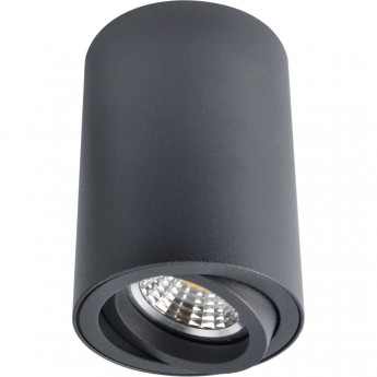 Светильник ARTE LAMP SENTRY A1560PL-1BK Светильник ARTE LAMP SENTRY A1560PL-1BK