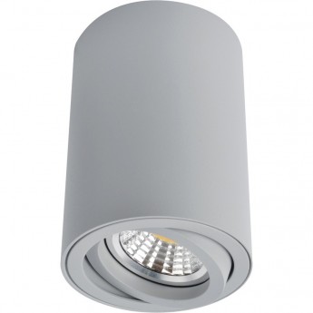 Светильник ARTE LAMP SENTRY A1560PL-1GY Светильник ARTE LAMP SENTRY A1560PL-1GY