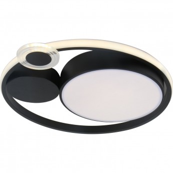 Потолочный светильник ARTE LAMP STOCKHOLM A2690PL-1BK Потолочный светильник ARTE LAMP STOCKHOLM A2690PL-1BK